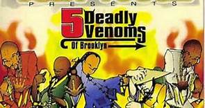 Tony Touch The Five Deadly Venoms Of Brooklyn Mixtape