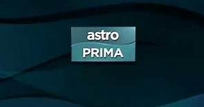 Astro Prima - Channel Bumper
