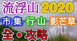 《流浮山2020全攻略》秘•芒草之路🌾日落雞伯嶺🌄特色市集‼️【旅遊片🇭🇰】