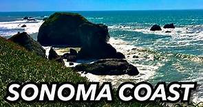 POV Road Trip in a Day! Exploring the Sonoma Coast State Park Beaches on the Pacific Coast Highway!