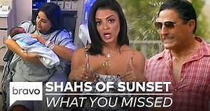 Everything You Need to Know About Shahs of Sunset Before Season 8 Premieres on 2/9!