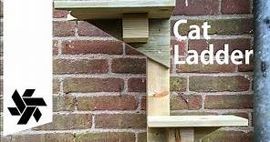 DIY Cat Ladder // Easy Woodworking Project