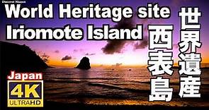 4K 西表島 世界自然遺産 Iriomote Island カヌー 観光 旅行 沖縄 海 Okinawa jungle Natural sound 夕景 秘境 八重山諸島 マングローブ 風景