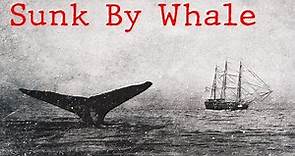 Whaleship Essex The Story That Inspired Moby Dick