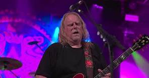 Govt Mule - If Heartaches Were Nickels (Live)