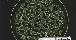 Mr. Scruff - Friendly Bacteria