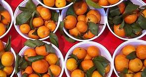 A guide to mandarin oranges: 11 types of citrus for the season