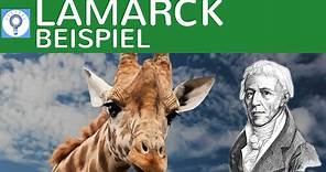Evolutionstheorie von Lamarck - Beispielaufgabe Giraffen | Evolution 5
