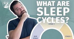 What Are Sleep Cycles? - Everything You Need To Know!