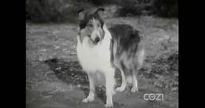 Lassie - Episode #356 - "Incident of the Eagle" - Season 11, Ep. 4 - 09/27/1964