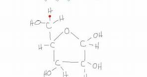 Drawing Organic Molecules for IB Biology