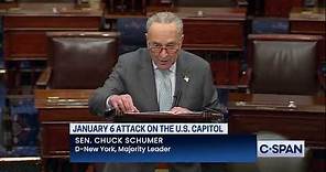 Sen. Schumer on Fox News Depiction of January 6th