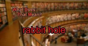 What does rabbit hole mean?