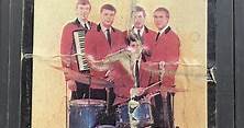 Gary Lewis & The Playboys - The Very Best Of Gary Lewis & The Playboys