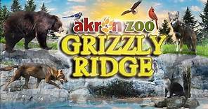 Zoo Tours: The Akron Zoo's Grizzly Ridge