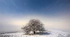 Solsticio de invierno: 10 cosas que tienes saber sobre el invierno que empieza