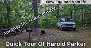 Quick Tour Of Harold Parker State Forest During Another MicroAdventure - New England VanLife