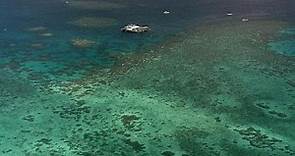 La Grande Barriera Corallina è davvero in pericolo? Sfida Unesco-Australia