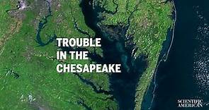 Will the Chesapeake Become a Dead Zone?
