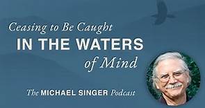 The Michael Singer Podcast: Ceasing to Be Caught in the Waters of Mind