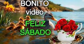 🌲Mensaje de BUENOS DÍAS Feliz Sábado🌞Saludos de buenos días, Reflexión, Frases, ábrelo