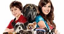 Hotel for Dogs - movie: watch streaming online