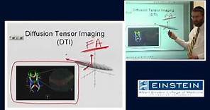 Introducing MRI: Diffusion Tensor Imaging (50 of 56)