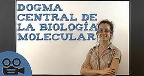 Dogma central de la biología molecular