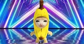 Banana Cat sings Happy Happy Song At America's Got Talent⭐