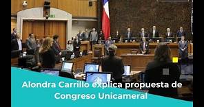 Alondra Carrillo explica propuesta de Congreso Unicameral