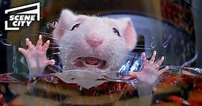 Trapped in the Washing Machine | Stuart Little (Michael J. Fox, Geena Davis, Nathan Lane)