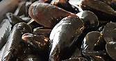 How to buy mussels