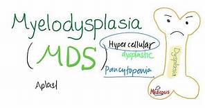 Myelodysplastic Syndrome (MDS) - Between Normal & Acute Leukemia (AML) - Hematology Series