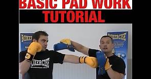 Basic pad Work Tutorial