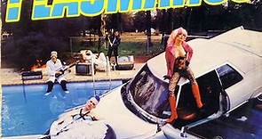 Plasmatics - New Hope For The Wretched