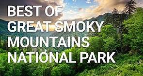 Top Things You NEED To Do In Great Smoky Mountains National Park