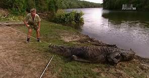 The Crocodile Hunter - Best Of Steve Irwin - S01 E06