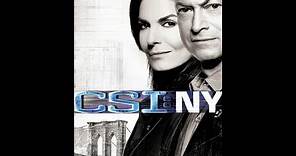 CSI: NY Season 3 Episode 15: Some Buried Bones