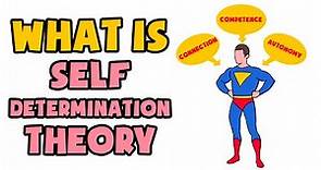 What is Self-Determination Theory | Explained in 2 min