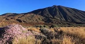 Parque Nacional del Teide. Tenerife - España.