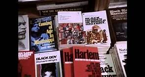THE BLACK POWER MIXTAPE 1967-1975