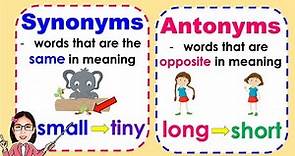 Synonyms and Antonyms - meaning and examples | Lesson with quiz
