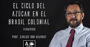El ciclo del azúcar en el Brasil colonial | Carlos Van Hauvart | Cap 17 | Historias coloniales
