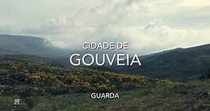 Cidade de Gouveia - Guarda