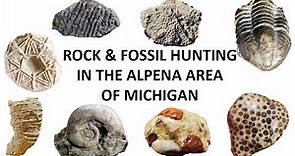 Rock and Fossil Hunting the Alpena area of Michigan