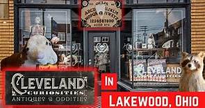 Cleveland Curiosities - Antiques & Oddities in Lakewood Ohio