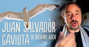 🟢 Juan Salvador Gaviota, de Richard Bach - Análisis - Club de los lectores muermos