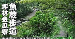 坪林金瓜寮魚蕨步道旅行指南（Tour Gudie for Jinqualiao Stream Fish and Fern Trail, Pinglin）☆新北市