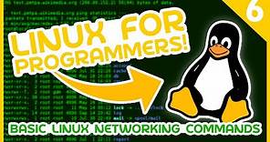 Linux for Programmers #6 - Basic Linux Networking Commands