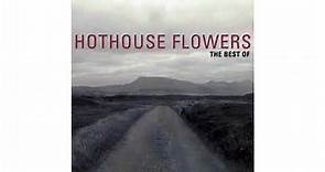 Hothouse Flowers - You Can Love Me Now